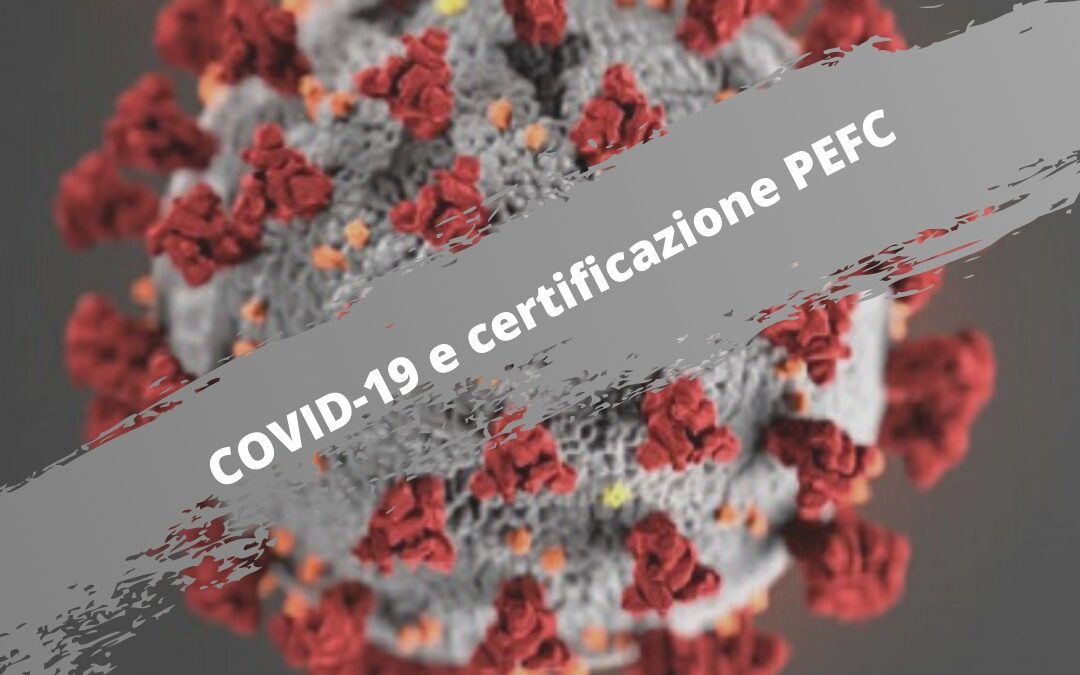 Linee guida PEFC: Audit delle aziende certificate PEFC per la catena di custodia interessate da restrizioni dovute a COVID-19