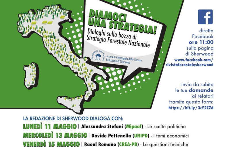 3 webinar di approfondimento sulla Strategia Forestale Nazionale!