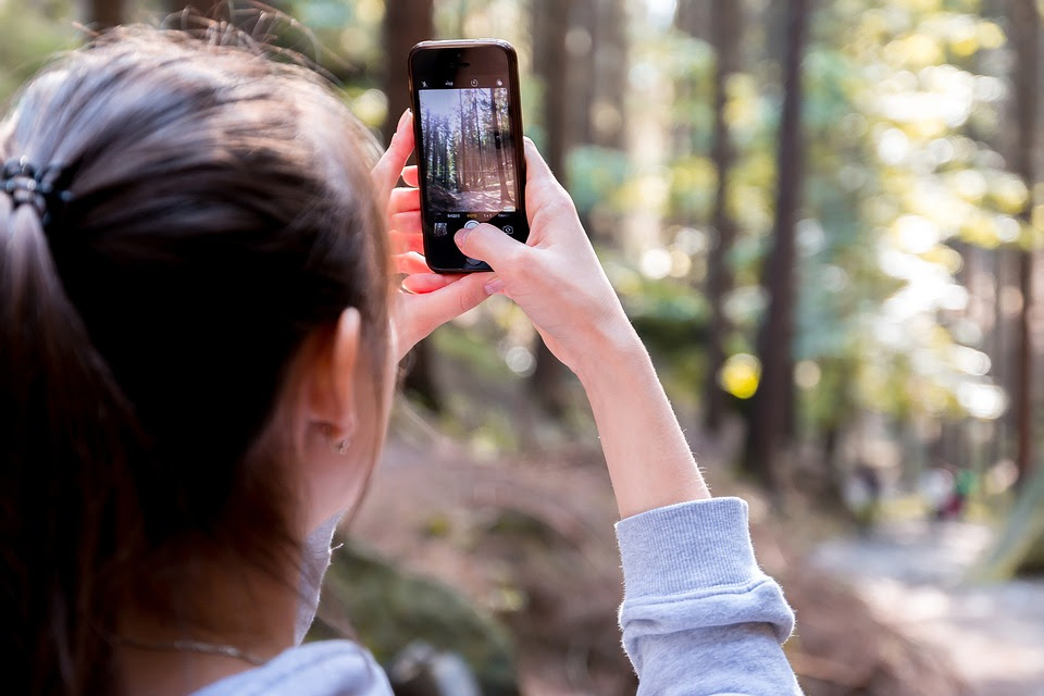 Quando l’arte incontra la natura: al via la quarta edizione del concorso fotografico “Scatta il bosco PEFC”