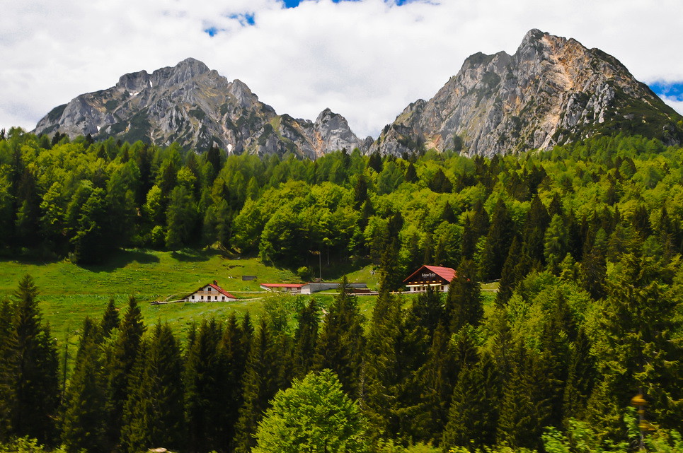 2020: Anno della biodiversità. Celebralo con noi nella Foresta di Ampezzo, con un corposo programma di iniziative turistiche!