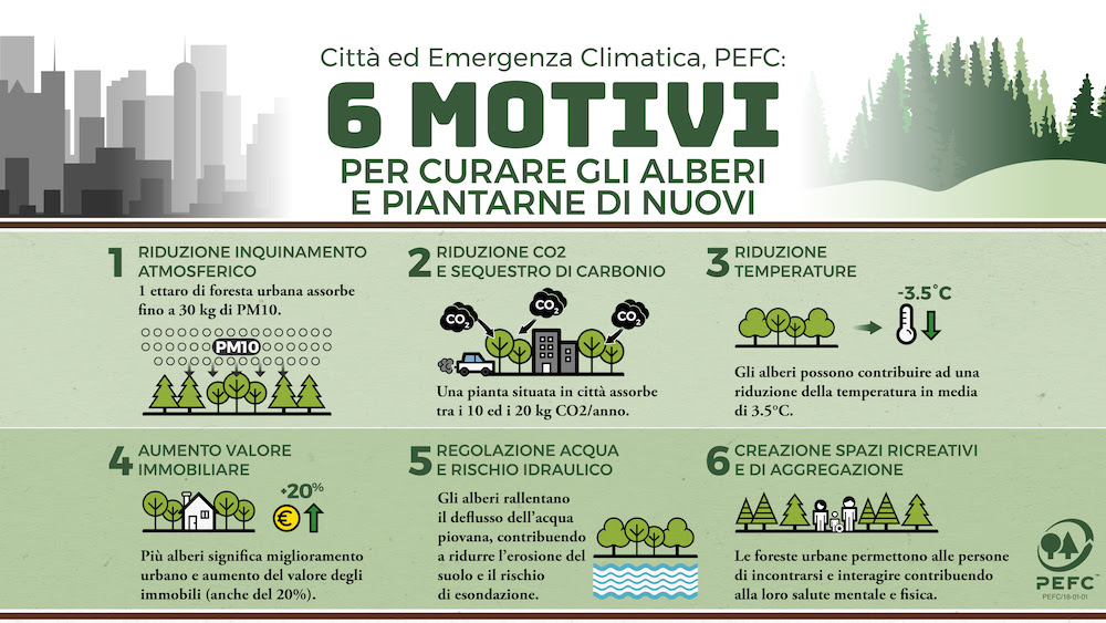 Città e cambiamenti climatici, PEFC: 6 motivi per curare gli alberi e piantarne di nuovi