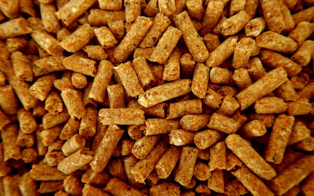 Prospettive di sviluppo per l’industria del pellet