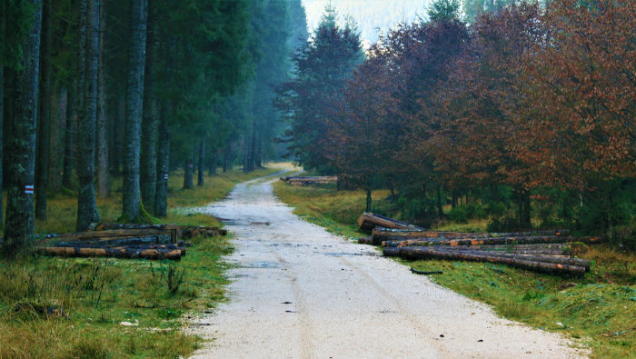 Legno Servizi: rilevazione progetti di viabilità non ancora finanziati