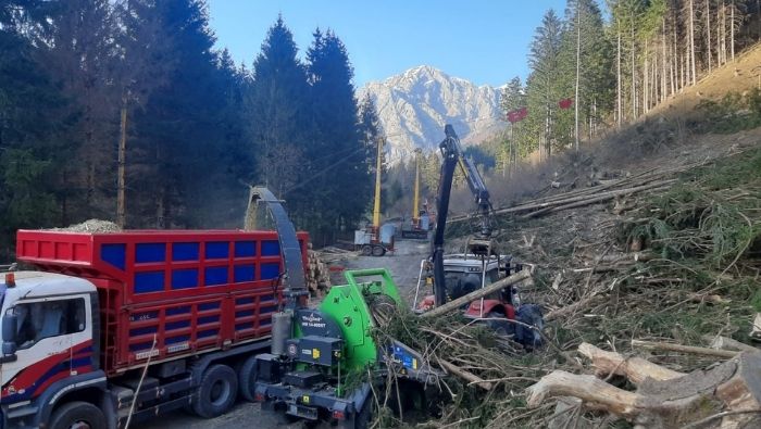 Legno Servizi vi invita a Sutrio in un cantiere forestale, mercoledì 19 maggio ore 16.30