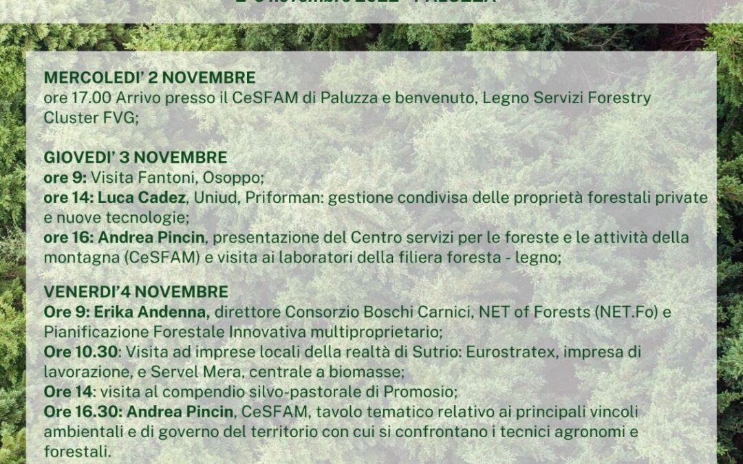 Il Sistema Bosco Legno FVG -Workshop di approfondimento per gli studenti universitari di Scienze Forestali e Ambientali provenienti da tutta Italia-seconda edizione