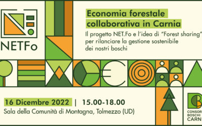 ECONOMIA FORESTALE COLLABORATIVA IN CARNIA