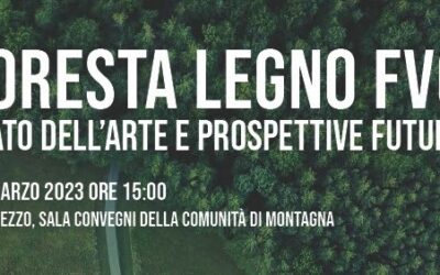 FORESTA LEGNO FVG: stato dell’arte e prospettive future