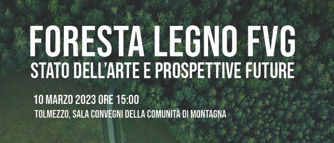 FORESTA LEGNO FVG: stato dell’arte e prospettive future