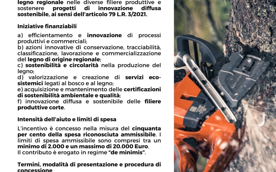 CONTRIBUTI PER LE IMPRESE DEL SETTORE LEGNO FVG