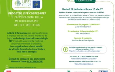 PROGETTO LIFE CO2PES&PEF E APPLICAZIONE PEF NEL SETTORE LEGNO