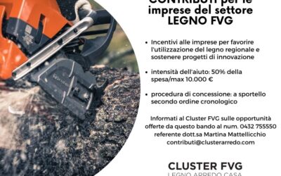 CONTRIBUTI PER LE IMPRESE DEL SETTORE LEGNO FVG