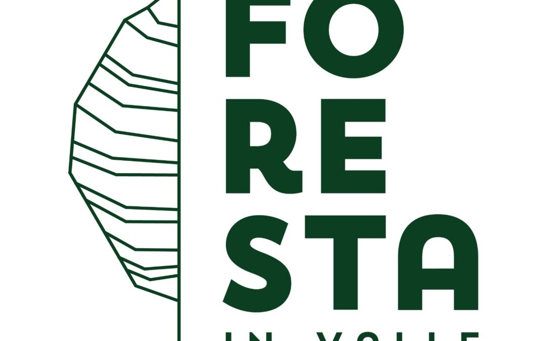 Foresta in Valle – 24 e 25 Giugno 2023
