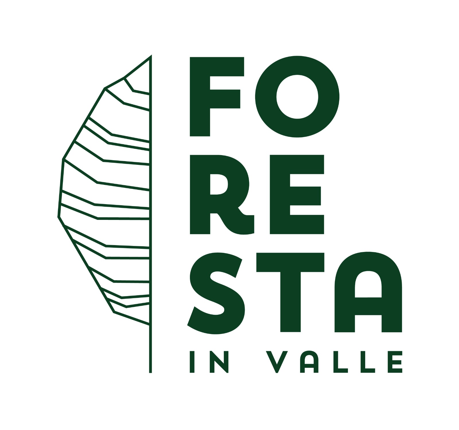 Foresta in Valle – 24 e 25 Giugno 2023