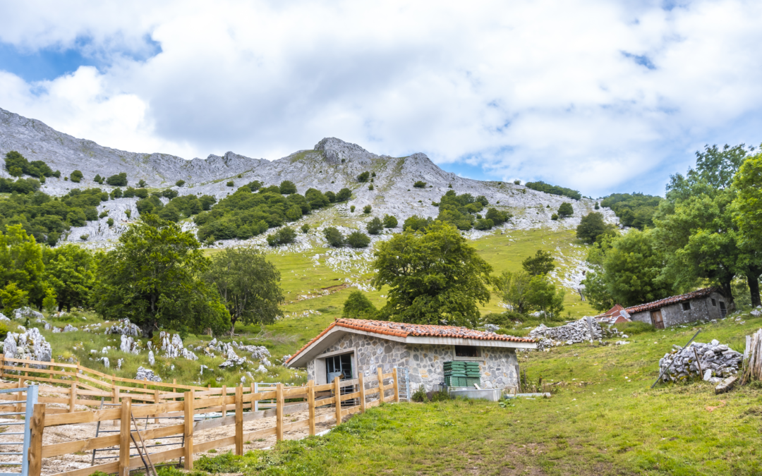 In partenza il nuovo Master in Innovazione dei sistemi agrosilvopastorali della montagna. Imprese e territori.