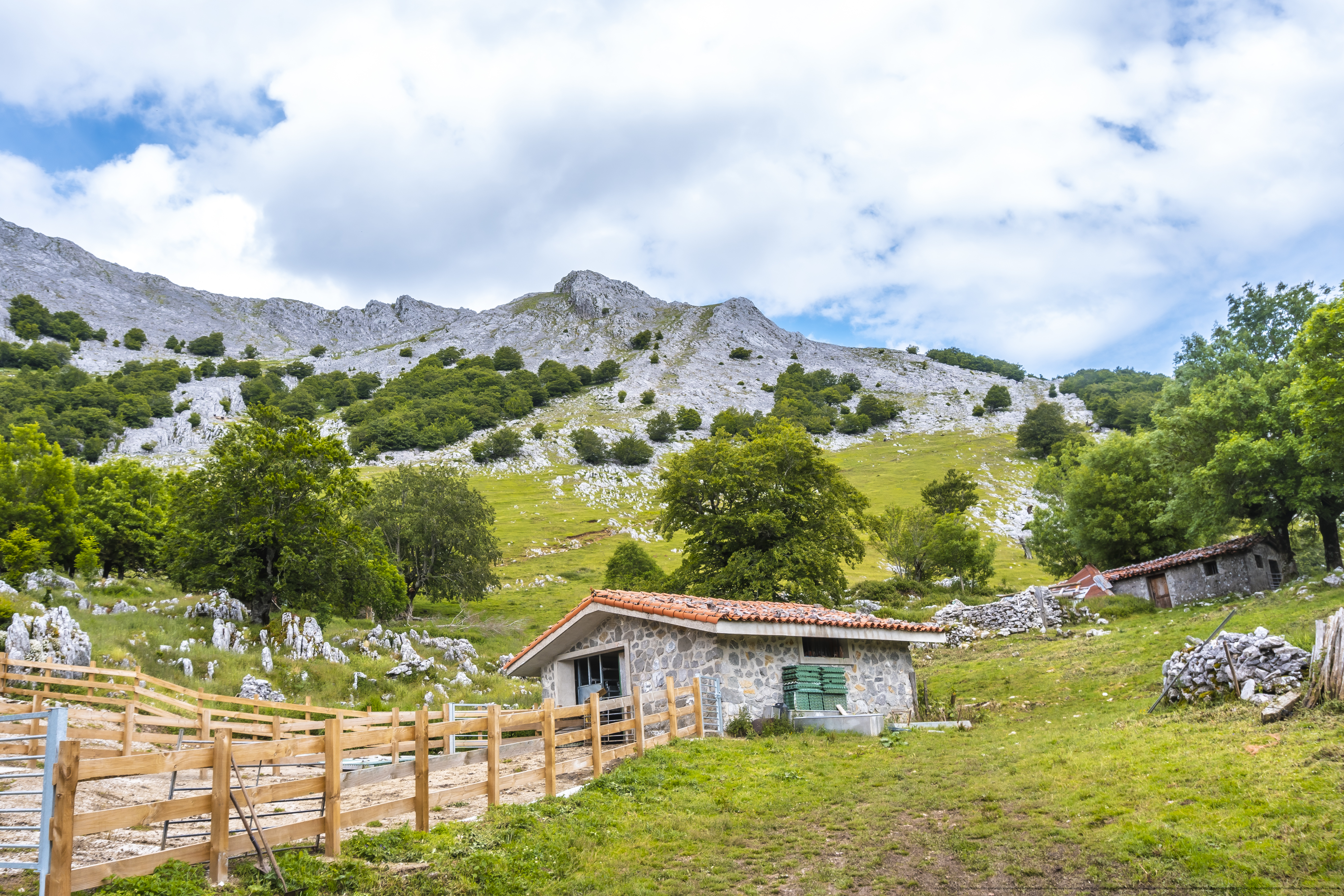 In partenza il nuovo Master in Innovazione dei sistemi agrosilvopastorali della montagna. Imprese e territori.