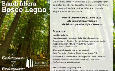 Incontro “Bandi filiera Bosco-Legno” a Tolmezzo: opportunità per le micro e piccole Imprese