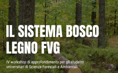 4° Workshop con i ragazzi di AUSF Italia – Un’occasione di crescita e formazione per i futuri professionisti del settore forestale