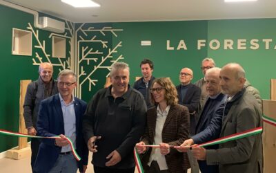 ‘Foresta in città’: un nuovo spazio per promuovere la cultura del legno