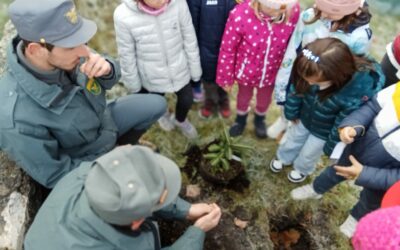 Giornata Nazionale dell’Albero: un successo per il nostro territorio!