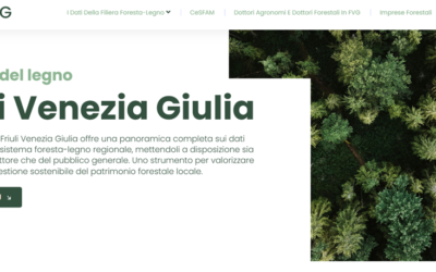 Lancio del nuovo portale regionale ‘Legno FVG’: un punto di riferimento per il settore bosco-legno