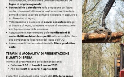 Incentivi regionali per il settore bosco – legno: apertura domande il 3 marzo 2025