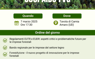 Assemblea Soci AIBO FVG: un confronto sulle prospettive del settore bosco-legno