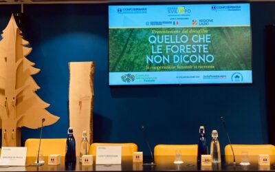 Il Friuli Venezia Giulia protagonista nel docufilm “Quello che le foreste non dicono”