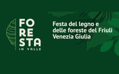 Foresta in Valle 2025: è online il sito per consultare il programma e prenotarsi