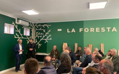 Nasce il primo gruppo di foreste private certificate in FVG: 3.200 ettari gestiti in modo sostenibile