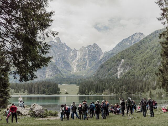 Foresta in Valle 2025: un grande successo per le nostre foreste e il territorio regionale