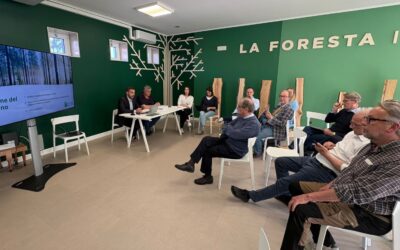 Assemblea dei Soci di Legno Servizi – Cluster Forestale del FVG