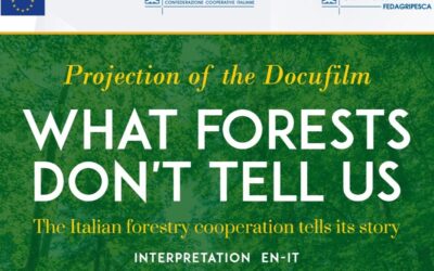 “Quello che le Foreste non dicono” al Parlamento Europeo: anche Legno Servizi tra i protagonisti