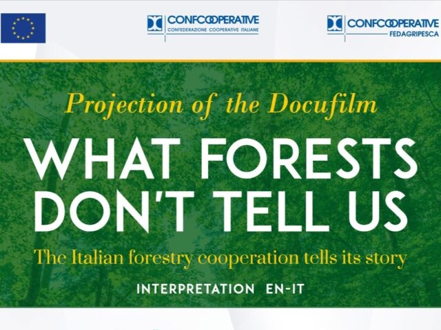 “Quello che le Foreste non dicono” al Parlamento Europeo: anche Legno Servizi tra i protagonisti