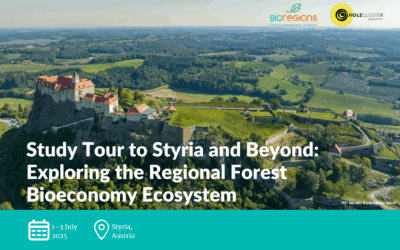 Legno Servizi in Stiria: study tour alla scoperta della bioeconomia forestale