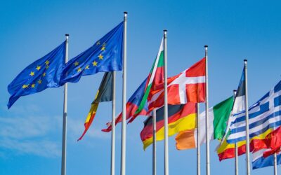 Nuova proroga per l’EUDR: slitta di un anno l’entrata in vigore del regolamento UE contro la deforestazione