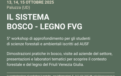 Torna il workshop per gli studenti AUSF dedicato al sistema foresta-legno FVG