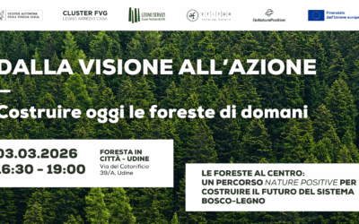 Workshop foreste Friuli Venezia Giulia: dalla visione all’azione con il progetto Go Nature Positive