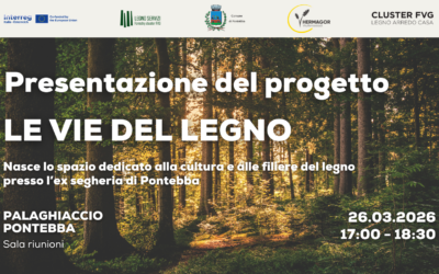 Le Vie del Legno a Pontebba | Evento Interreg Italia–Austria 26 marzo