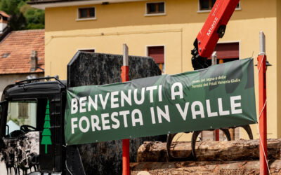 Foresta in Valle 2026: a Paularo un weekend di comunità, foreste e territorio