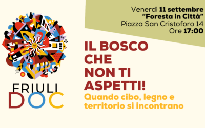 Il bosco che non ti aspetti: quando cibo, legno e territorio si incontrano