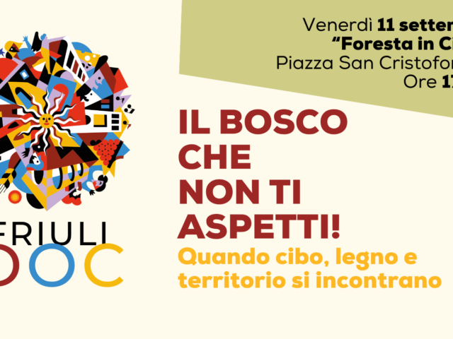 Il bosco che non ti aspetti: quando cibo, legno e territorio si incontrano