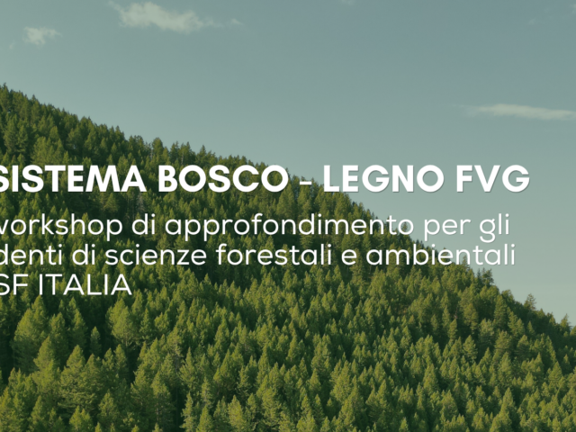 6° Workshop AUSF in FVG: tre giornate per scoprire sul campo il sistema bosco-legno regionale