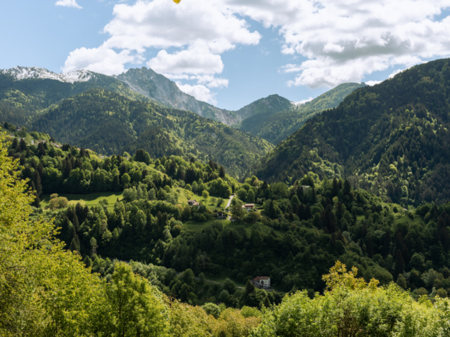 Legno Servizi si aggiudica il Premio “Comunità Forestali Sostenibili” 2026